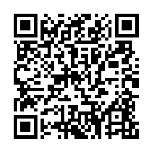 因为袁野这个人太不会做人了…明明是分次投票二维码生成