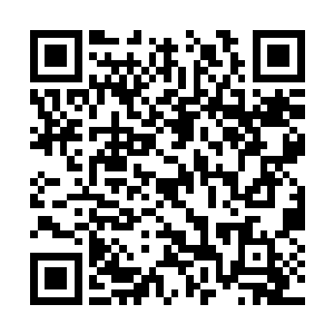 因为西门吹雪刚刚将自己的一众手下全部招了回来二维码生成