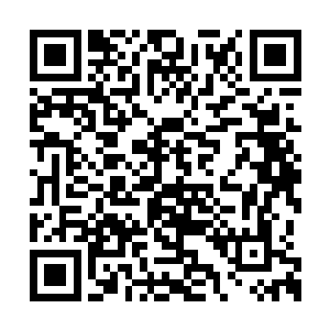 因为要拿下碧羽仙藤还不知道要付出怎样的代价二维码生成