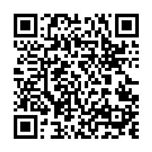 因为谢雨安一开始就是用正规兵团的方法在打造这支兵团二维码生成