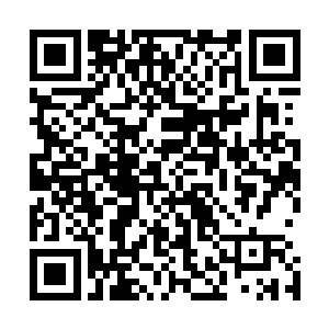 因为贪嘴而葬送了生命的六条鱼全部都被串在了树枝上开烤二维码生成