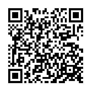 因为越影紫电喷云母兽比它的小幼崽们实力要高出很多倍二维码生成