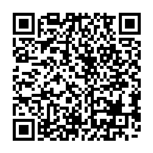 因为这两头实力如此强悍的妖怪并不是一个默默无闻的小修炼者可以指使的二维码生成