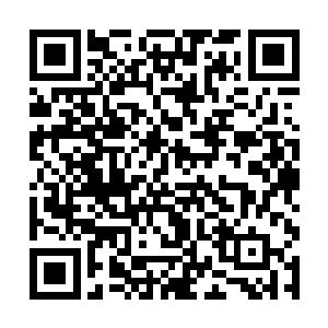 因为这个丹药有一个十分强大的效果那就是提纯真元二维码生成