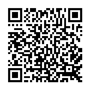 因为这个大阵要是一祭出来的话笼罩的范围可是十分的广泛的二维码生成
