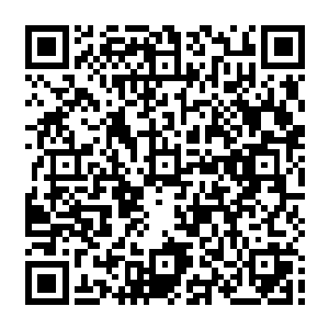 因为这个秘密是相对于武者而言的……确切的说就是……这幅画里面隐藏着一套功法二维码生成