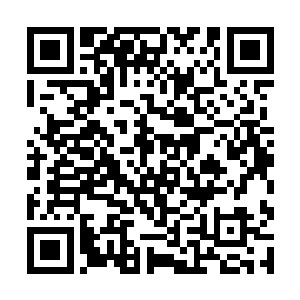 因为这些箭枝的攻击根本就没有影响到杨风哪怕分毫二维码生成