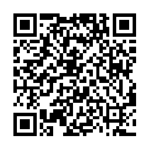 因为这些高层也不敢透露出去龙凤榜存在的真正因素二维码生成