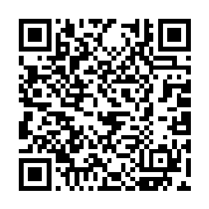 因为这几个人正是堵在医院门口的那七八个年轻人二维码生成