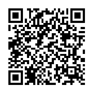 因为这十一头金牛就是他亲手下令让眼镜王蛇附魔制作的二维码生成