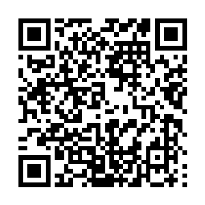 因为这已经不像是他们所认识的那个金刀门门主铁心了二维码生成
