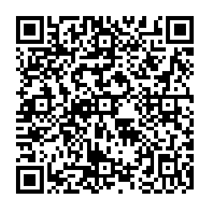 因为这意味着他们无法参考他人在青云石阶上的状况来做出放弃还是登石阶的决定二维码生成