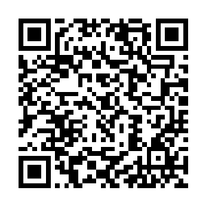 因为这把枪的枪柄本来就是按照他的手型做出来的嘛二维码生成