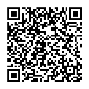 因为这时候他已经快要被那对光翼变成一颗明亮却死气沉沉的珍珠二维码生成