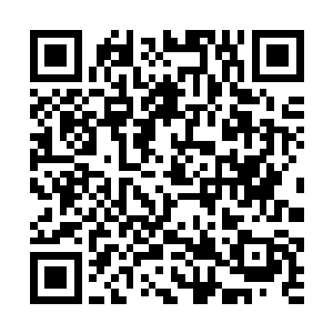 因为这次拍卖会据说还会拍卖一件了不起的护城装备二维码生成