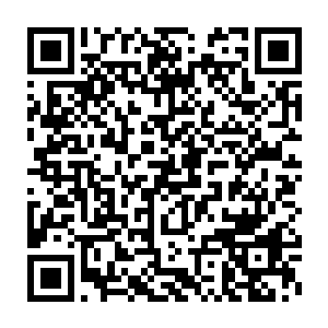 因为这段时间的任务接触的基本上都是被激活了记忆的NPC或者野外boss二维码生成
