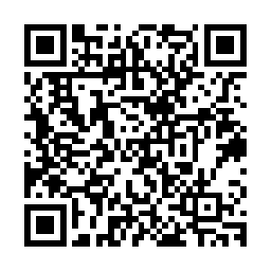 因为这种狂躁的冲击对杨风现在的灵魂基本上就没有多少的影响二维码生成