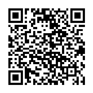 因为这都是自己从守护之神教派哪里继承学习的秘法二维码生成