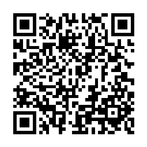 因为这里念二月二谚语的时候念得和云峥不一样二维码生成