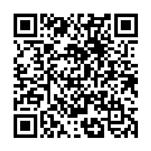 因为这里是黑手党迈阿密分部大佬菲伦特斯的宅邸二维码生成