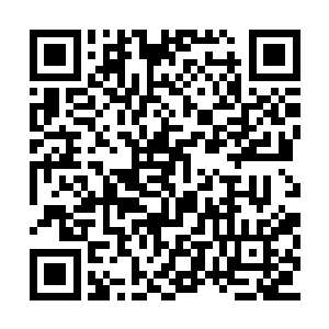 因为这里熟悉这个巨大符箓的只能够是云鹤仙子二维码生成