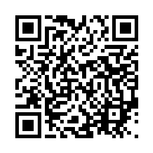 因为这里除了尸体之外什么东西都没有二维码生成