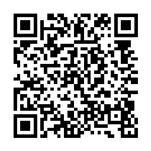 因为那两个绝世天才在帝刻石最高点刻下了名字二维码生成