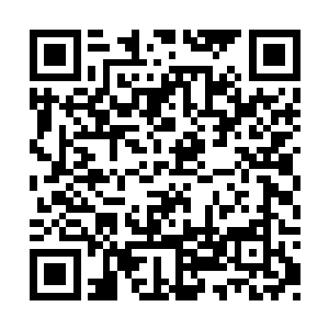 因为那几个混混都是凌海地下老大赵老三的手下二维码生成