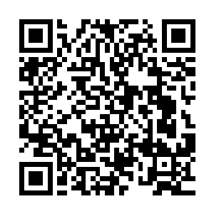 因为那睦有实力能够威胁到他的人都已经被他狠狠踩在了脚下二维码生成