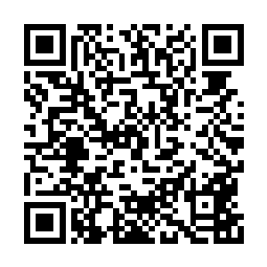 因为陈易清在第一支队伍看到了一个熟悉的战队二维码生成