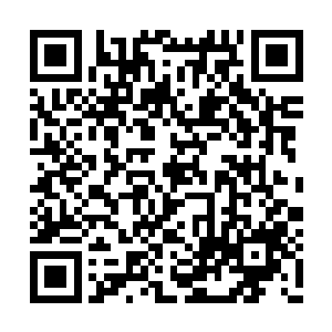 因为隐仙门好几个人都需要去抗住杜金蝉的怒火二维码生成