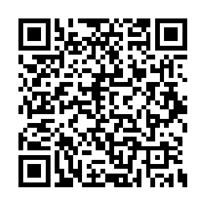 因为雨果通过表演将楚门的故事完全展示了出来二维码生成