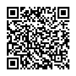 因为零城的主系统提供的能源几乎是无穷无尽的二维码生成