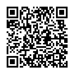 因为顾倾狂也需要和顾麟一起去回朔去水鬼圣域的路二维码生成