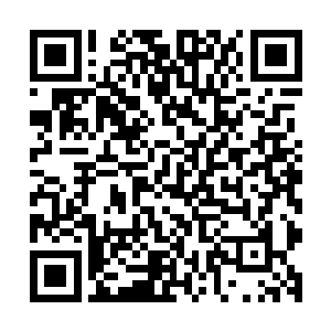 因为龙傲天发现这个年轻人的修为竟然达到了帝级顶峰的水平二维码生成