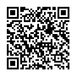 因为龙野用了全身的力气那树枝却不受控制的飞出去二维码生成