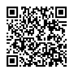 因人族二万主力结阵靠近到仙家战争机器攻五里二维码生成