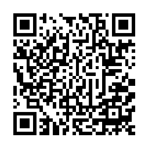 因实验差错而失陷一个下土世界对伯岩殿下或是难以接受后果二维码生成