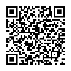 因很明显小萝莉晋升后还是萝莉身体……她与黑帝归位境况相似二维码生成