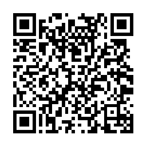 因此他便连夜让自己的属下四处去搜集珍贵的玉兰二维码生成