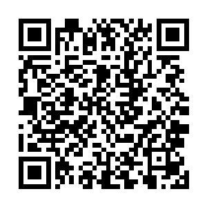 因此在去年庙堂上才会有撮合宋家玉树跟皇帝陛下的婚事二维码生成
