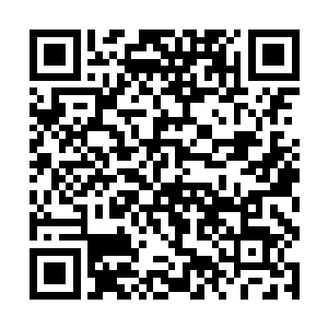 因此孩子的失去似乎并没有给他带来太多特殊的感触二维码生成