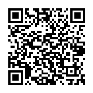 因此对于皇上似乎十分忌惮的叶璃自然更加注意二维码生成