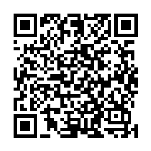 因此很多进入上古战场之中的人都希望能够找到这个宝藏二维码生成