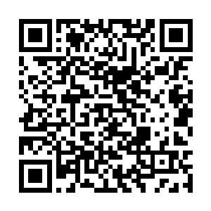 因此恐怕早就对我军中所有的名将有过详细地分析二维码生成