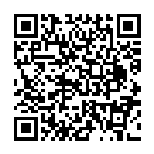 因此慢慢的控制着精神力接近对面魔法师控制着的火系元素二维码生成