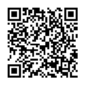 因此我只能是两眼一抹黑的往临夜国内城方向飞去二维码生成