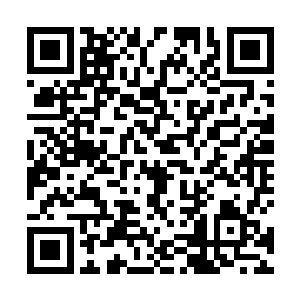 因此找了一个比较安全的地方挖了一个雪窝躲藏了进去二维码生成