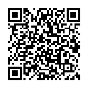 因此正好趁这个机会让杨家的核心力量撤出帝都二维码生成