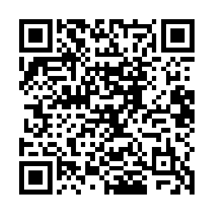 因此汇集在这里的所有仙尊纷纷遭受了轻重不一的伤势二维码生成